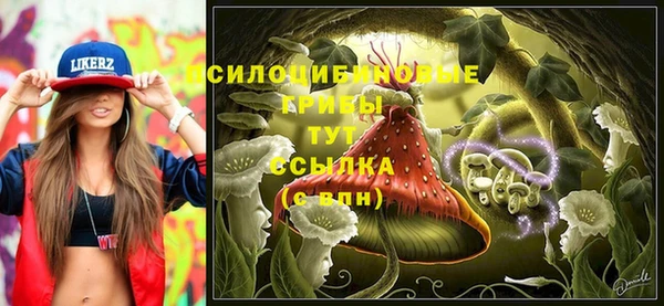 винт Майский