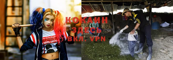 a pvp Магас