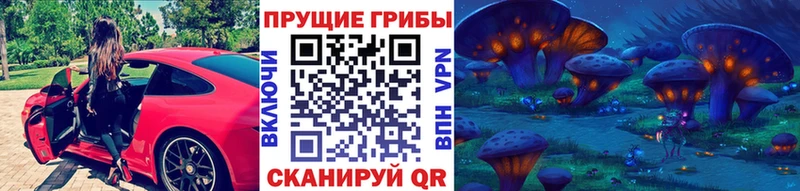Купить где  Соль-Илецк  Галлюциногенные грибы мицелий 